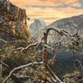 First view of the Valley winter morning on HWY 41 Wawona road Yosemite National Park