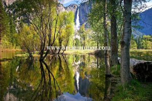 Yosemite falls reflection Merced River Yosemite National Park California