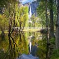 Yosemite falls reflection Merced River Yosemite National Park California
